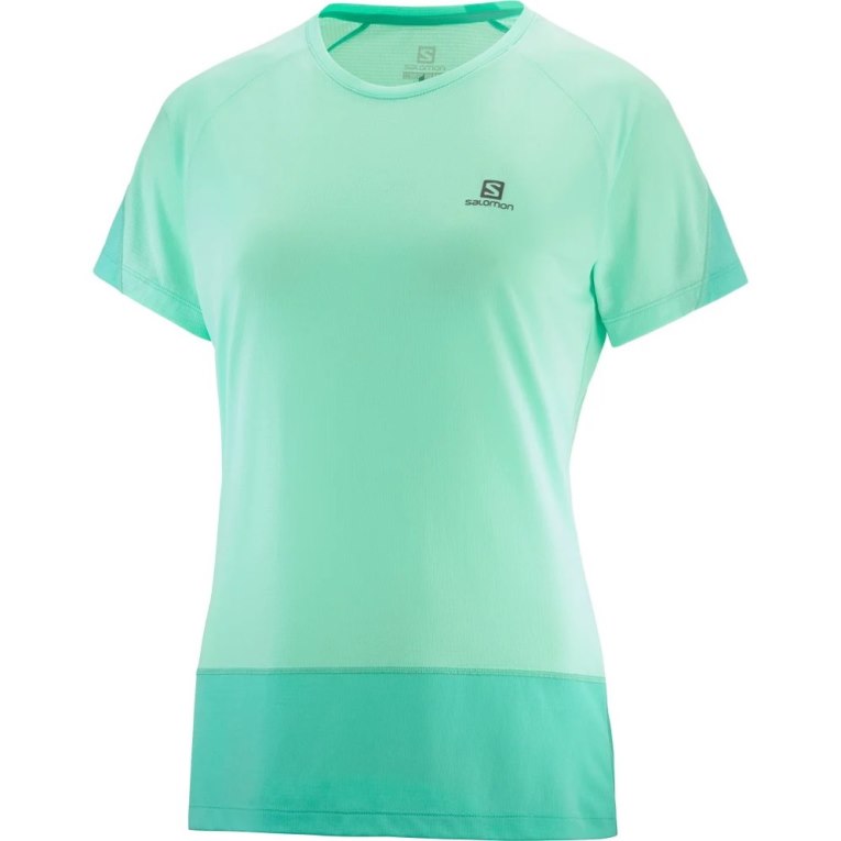 Turquoise Salomon Cross Run Short Sleeve Women's T-Shirts | PH 05792W